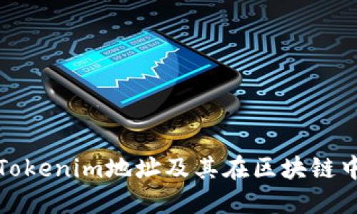 深入了解Tokenim地址及其在区块链中的重要性