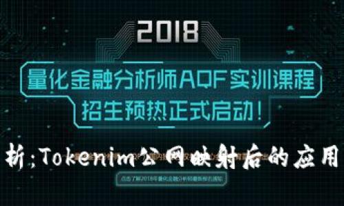 全面解析：Tokenim公网映射后的应用与影响