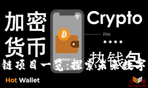 娄底市区区块链项目一览：探索未来数字经济的新机遇