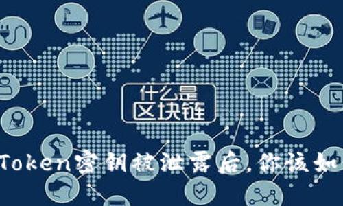 当你的Token密钥被泄露后，你该如何处理？