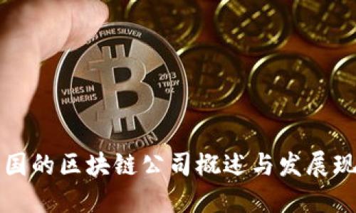 中国的区块链公司概述与发展现状