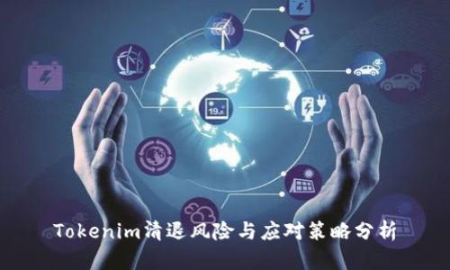 Tokenim清退风险与应对策略分析
