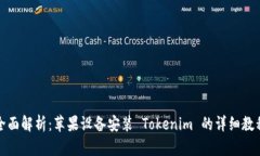 全面解析：苹果设备安装