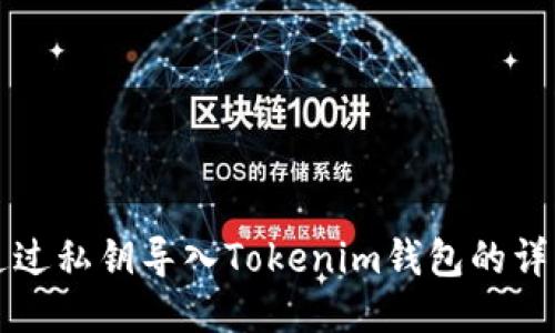如何通过私钥导入Tokenim钱包的详细指南