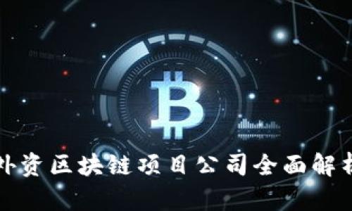 外资区块链项目公司全面解析