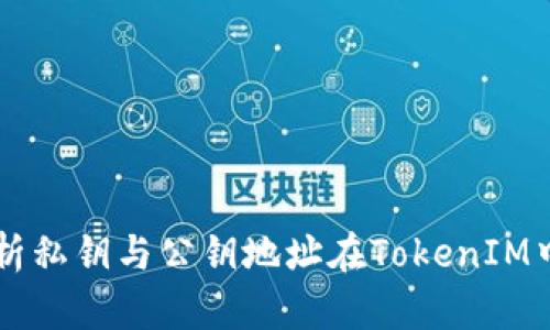 深入解析私钥与公钥地址在TokenIM中的应用