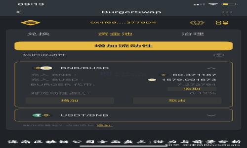 海南区块链公司全面盘点：潜力与前景分析
