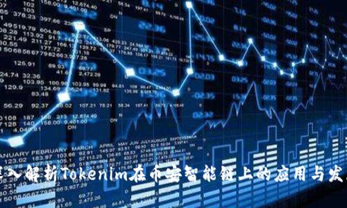深入解析Tokenim在币安智能链上的应用与发展