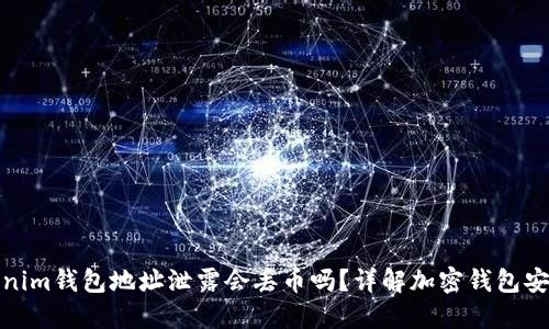 Tokenim钱包地址泄露会丢币吗？详解加密钱包安全性