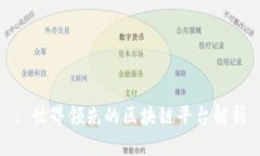 : 世界领先的区块链平台解