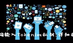 如何正确输入Tokenim私钥：