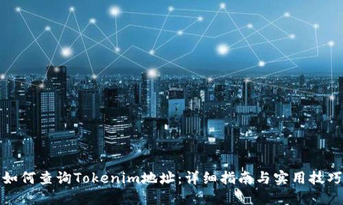 如何查询Tokenim地址：详细指南与实用技巧