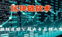 区块链追踪公司大全与行