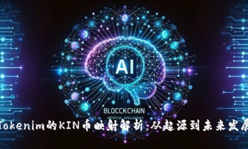 Tokenim的KIN币映射解析：从起源到未来发展