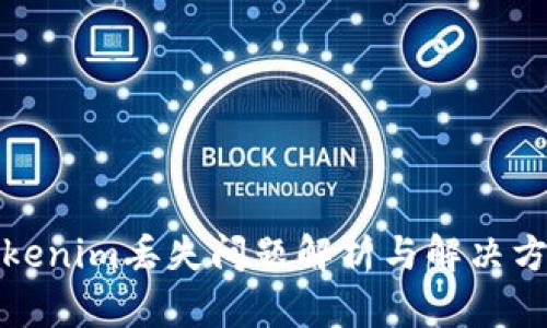 Tokenim丢失问题解析与解决方案