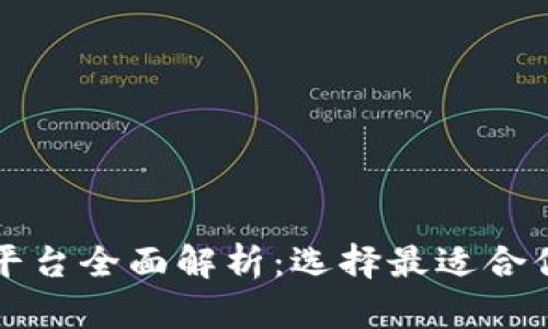 区块链定制平台全面解析：选择最适合你的解决方案