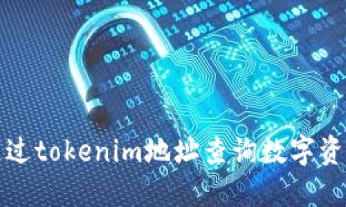 如何通过tokenim地址查询数字资产信息