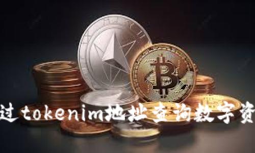 如何通过tokenim地址查询数字资产信息