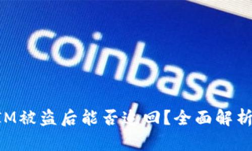 国内TokenIM被盗后能否追回？全面解析与应对措施