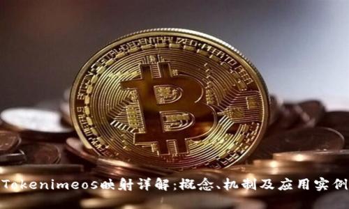Tokenimeos映射详解：概念、机制及应用实例