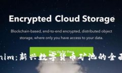 Tokenim：新兴数字货币矿池