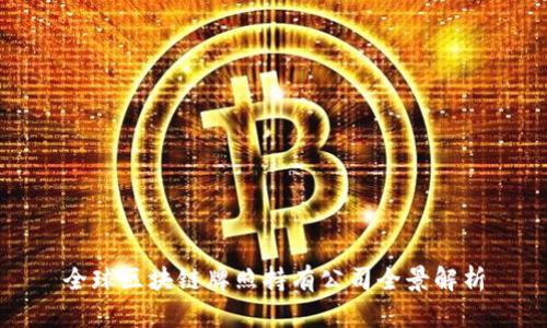 全球区块链牌照持有公司全景解析
