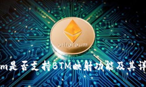 Tokenim是否支持BTM映射功能及其详细解析