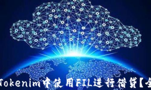 
如何在Tokenim中使用FIL进行借贷？全面指南