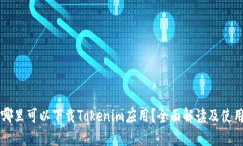 国内哪里可以下载Tokenim应用？全面解读及使用指南