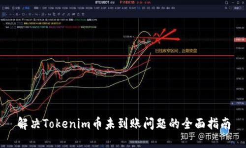 解决Tokenim币未到账问题的全面指南
