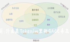 GACC币解析：什么是Tokeni