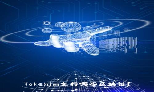 Tokenim支持哪些区块链？