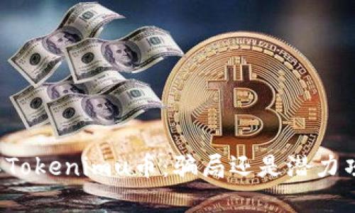 理解Tokenimu币：骗局还是潜力项目？