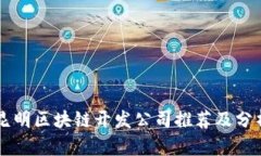 昆明区块链开发公司推荐
