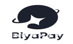 区块链评测机构的多种类