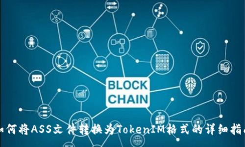 :  
如何将ASS文件转换为TokenIM格式的详细指南