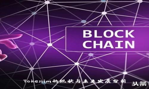 Tokenim的现状与未来发展分析