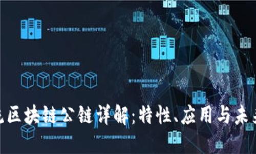 : 主流区块链公链详解：特性、应用与未来趋势