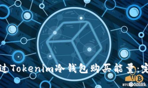 如何通过Tokenim冷钱包购买能量：完整指南