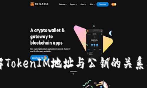 深入了解TokenIM地址与公钥的关系及其应用