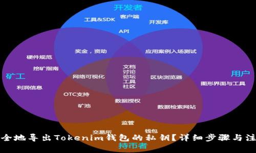 如何安全地导出Tokenim钱包的私钥？详细步骤与注意事项