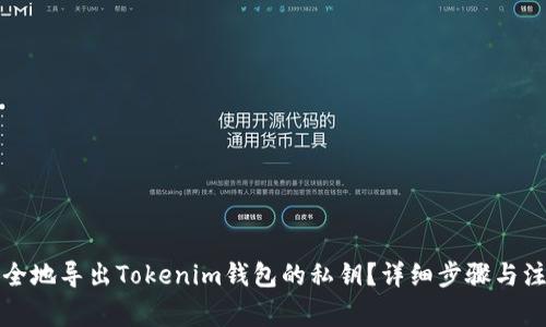 如何安全地导出Tokenim钱包的私钥？详细步骤与注意事项