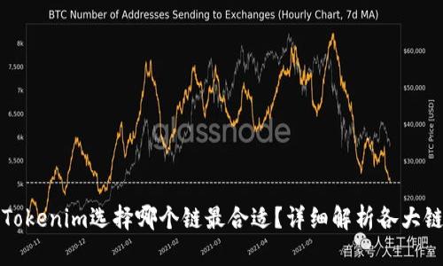 提币到Tokenim选择哪个链最合适？详细解析各大链优缺点