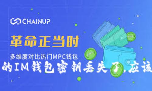  如果你的IM钱包密钥丢失了，应该怎么办？