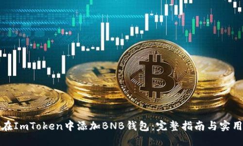 如何在ImToken中添加BNB钱包：完整指南与实用技巧