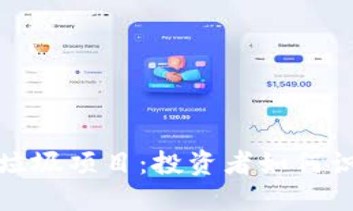 揭秘区块链的垃圾项目：投资者如何识别与避雷技巧