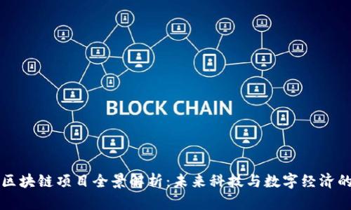 双流区区块链项目全景解析：未来科技与数字经济的交汇点