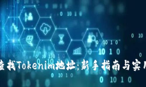 如何查找Tokenim地址：新手指南与实用技巧