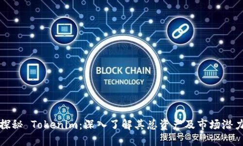 探秘 Tokenim：深入了解其总资产及市场潜力