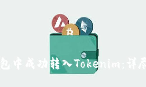 如何在OK链上钱包中成功转入Tokenim：详尽指南与实用技巧
